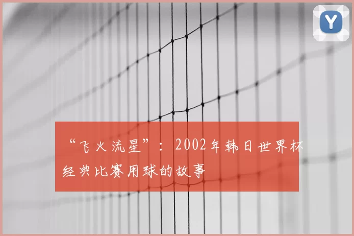 “飞火流星”:2002年韩日世界杯经典比赛用球的故事