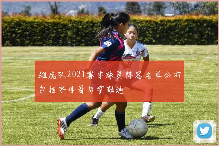 雄鹿队2021赛季球员阵容名单公布包括字母哥与霍勒迪