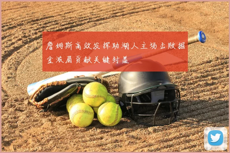 詹姆斯高效发挥助湖人主场击败掘金浓眉贡献关键封盖