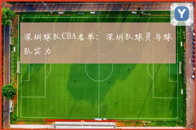 深圳球队CBA名单：深圳队球员与球队实力