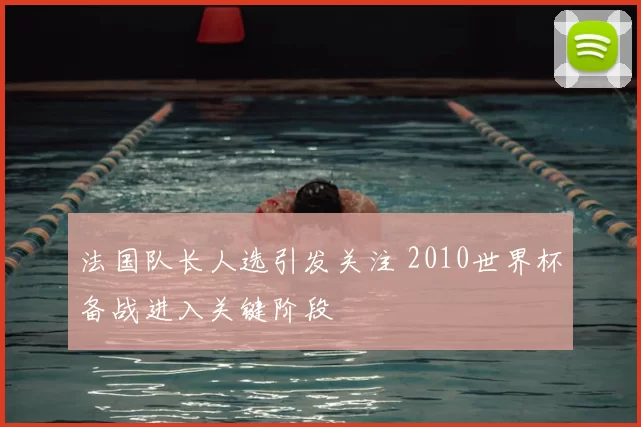 法国队长人选引发关注 2010世界杯备战进入关键阶段