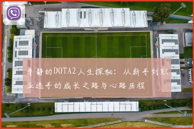 李静的DOTA2人生探秘：从新手到职业选手的成长之路与心路历程
