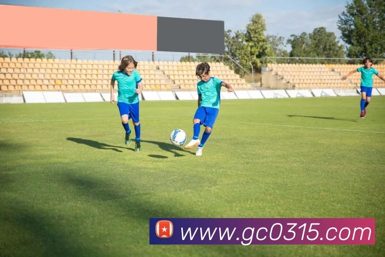 多媒体互动体验